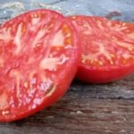 El tomate de Aretxabaleta, el mejor de España